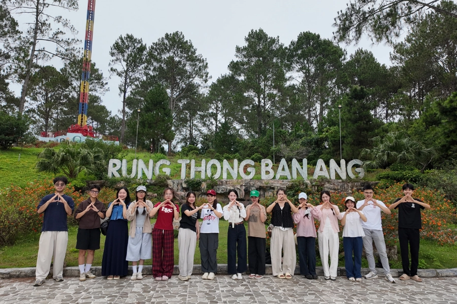 Dạo chơi check-in rừng thông